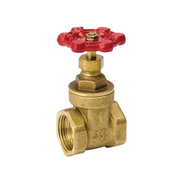 Thrifco Plumbing 3/4 Inch FIP Brass Gate Valve, Economy 6417004 - main